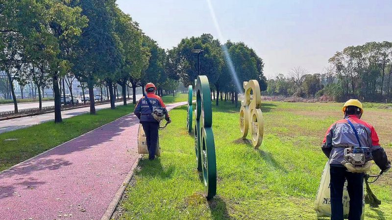 绿化带雨水收集排水设计：如何实现高效利用与生态平衡**