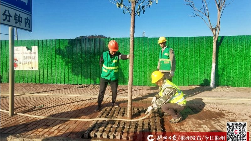 屋顶绿化补贴方案设计：如何精准把握政策与设计要点**