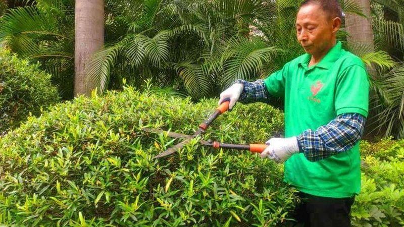 成都立体绿化墙施工，报价为什么差好几倍