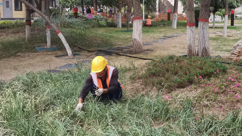 成都庭院设计施工：打造宜居空间的秘密**