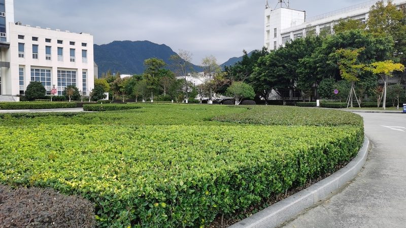 绿化养护工上岗证怎么考取？必备知识与流程解析**