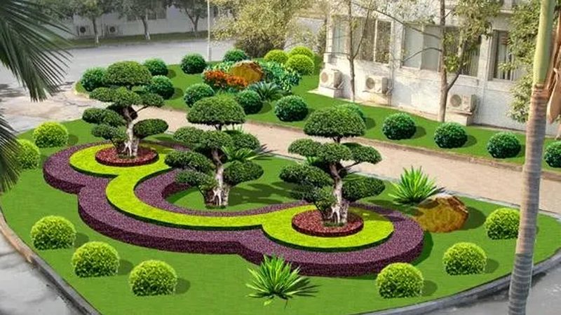 绿植租赁市场解析：如何找到价格实惠的供应商**
