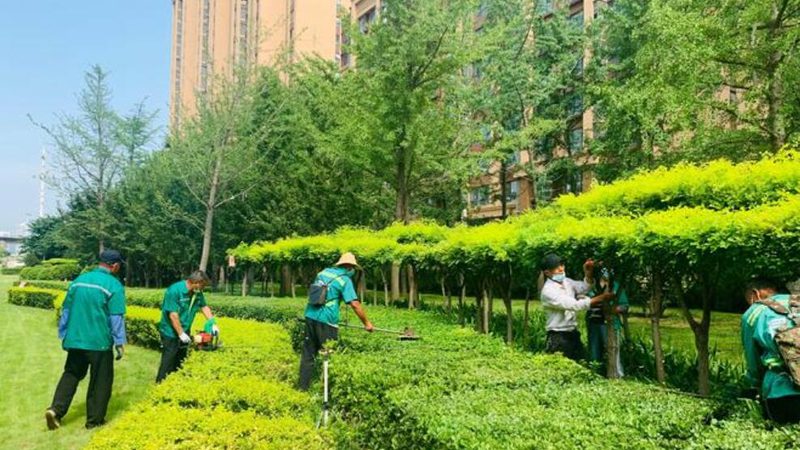 别墅庭院浇灌系统：如何打造高效节水景观**